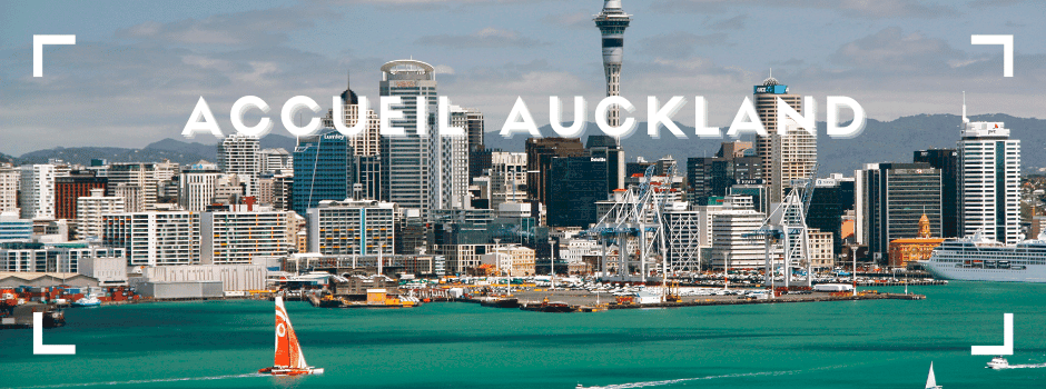 auckland-940×350 (1).png