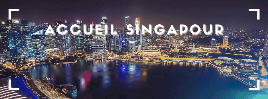 singapour-940×350.png